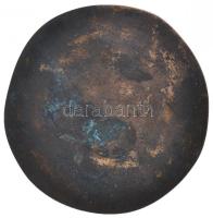 Tóth Gyula (1893-1970) 1960. "Kolozsvári Jordán Tamás főorvos 1539-1585" Br emlékérem (72g...