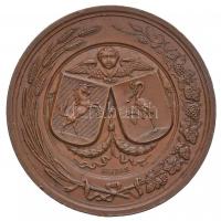 Wenzel Seidan (1817-1870) 1868. "Eger a Magyar Orvosoknak és Természetvizsgálóknak 1868 - Egri ...