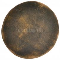 Kiss Kovács Gyula (1922-1984) 1956. "Dr. Hajnal Imre" Br emlékérem (268,5g/88-85mm) T:2 / ...