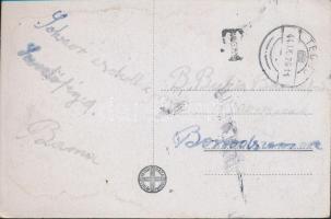 Técső, Mozaiklap, portózott (fl)