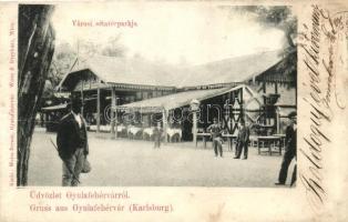 Gyulafehérvár, Karlsburg, Alba Iulia; Városi sétatér, park, kiadja Weiss Bernát / promenade, park (r)