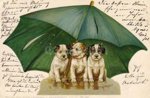 1899 s: Helena Maguire C Litho (EB)