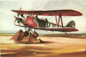 12 db MODER megíratlan, repülőgép motívumos képeslap, MALÉV / 12 modern, unused motive cards; aeropl...