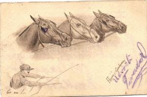 Horses and horse racer s: F. Lanza von Casalanza