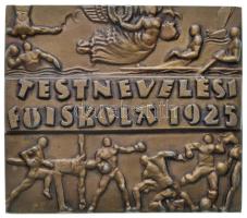 1925. "Testnevelési Főiskola 1925" jelzetlen bronzozott fém plakett (88,33g/59,5x69,5mm) T:2 / Hungary 1925. "College of Physical Education 1925" bronzed metal plaque without makers mark (88,33g/59,5x69,5mm) C:XF