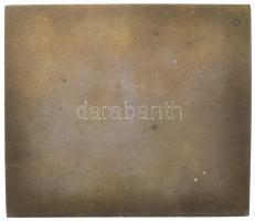 1925. "Testnevelési Főiskola 1925" jelzetlen bronzozott fém plakett (88,33g/59,5x69,5mm) T...