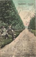 5 db RÉGI történelmi magyar városképes lap, vegyes minőség / 5 old historical Hungarian town-view po...