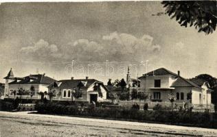 Belényes, Beius; látkép, Vedere din parcul Saguna / general view (EB)