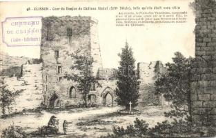 Clisson, Cour du Donjon du Chateau feodal / castle dungeon (EK)