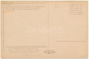 Tátra, Menguszfalvi Kis-Békás-tó / lake (kis szakadás / small tear)