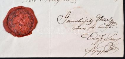 1876 Beregszász, a városi tanács munkaviszonyt igazoló bizonyságlevele városi lakos, városi tanácsos...