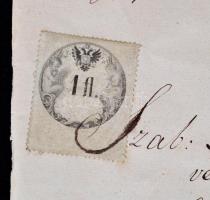 1876 Beregszász, a városi tanács munkaviszonyt igazoló bizonyságlevele városi lakos, városi tanácsos...