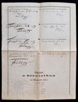 1872 A temesvári magyar királyi állami főreáltanoda által  kiállított bizonyítvány 15 kr okmánybélye...