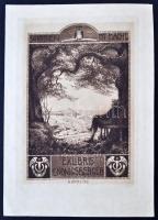 Georg Broel (1884-1940): Ex libris L. Konigsberger. Rézkarc, papír, jelzett a karcon, 17×12 cm