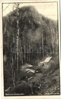 1940 Kommandó, Comandau; sikló erdei vasútvonala / funiculars forest railway, photo (vágott / cut)