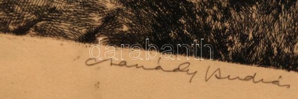 Csanády András(1929-): Öreg kapu. Rézkarc, papír, jelzett, üvegezett keretben, 20x29 cm