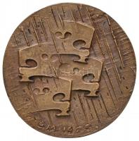 Borsos Miklós (1906-1990) 1970. "Bartók" Br plakett gyűjtői tokban (392,68g/103mm) T:2 / 
...