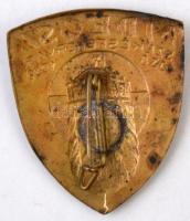 1938. "Magyar Dalos Egyesületek Országos Szövetsége (MDEOSZ) Székesfehérvár" fém jelvény (...