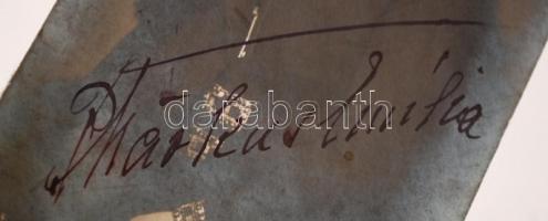 cca 1920 Márkus Emília (1860-1949) színésznő saját kezű aláírása egy a művésznőt ábrázoló fotólapon,...