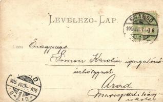 1905 Brassó, Kronstadt, Brasov; Fellegvár villa sor / villa alley, H. Zeidner photo (EK)