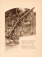 Tompa Mihály összes költeményei. Rendezték barátai: Arany János, Gyulai Pál, Lévay József, és Szász ...