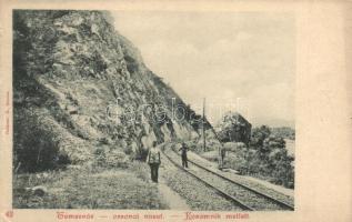 Koromnok, Koramnik, Coramnic; Temesvár-Orsovai vasút Koramnik mellett / railway  (EK)