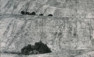 cca 1974 Zsigri Oszkár (1933-?): Aratás előtt, feliratozott vintage fotóművészeti alkotás, 15x24 cm