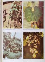 Mezőgazdasági lexikon I-II. Budapest, 1982, Mezőgazdasági Kiadó. Második, teljesen átdolgozott kiadá...