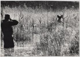 cca 1981 Berta Béla: Ártéri találkozás, feliratozott vintage fotóművészeti alkotás, 17x24 cm