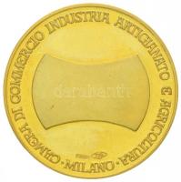 1995. "Milánói Kereskedelmi-, Ipari és Mezőgazdasági Kamara" jelzett Au emlékérem Göncz Ár...