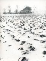 cca 1975 Menesdorfer Lajos: Tanya, feliratozott vintage fotóművészeti alkotás, 24x18 cm