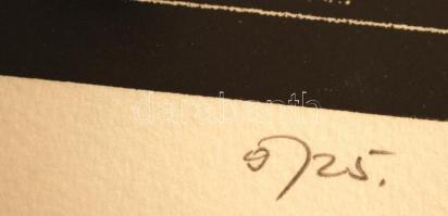 Joseph Kádár (1936- ): Cím nélkül, linómetszet, papír, jelzett, számozott (9/25), üvegezett fa keret...
