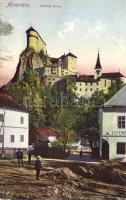 Árvavára, Schloss Árva, Steindl üzlete; kiadja Feitzinger Ede No. 247. / castle, shop