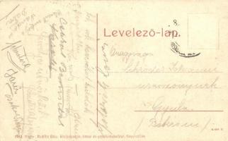 Nagyszőllős, Vinohragyiv; Rákóczi tér, Rochlitz Géza könyvnyomdája, saját kiadása / Square with book...