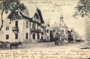 Vízakna Sós-gyógyfürdő (fa)