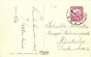 Debrecen, Nagyerdei fasor, Szab. kir. város ötös díszfogata, villamos