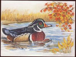 10db madarakat ábrázololó használatlan üdvözlőbélyeg borítékokkal+150 húsvéti/karácsonyi levélzáró ívekben