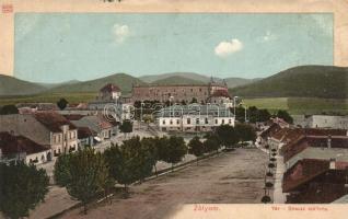 Zólyom, Zvolen; Vár, Strausz szálloda / castle, hotel (ázott / wet damage)