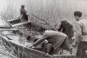 cca 1950 Balatoni halászok két fotó 18x24 cm