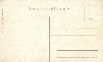 Karánsebes Fő tér, Halász Nándor üzlete, gyógyszertár / Main square, shops (EB)