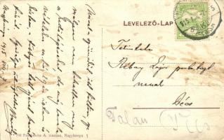 Nagybánya, Baia Mare; főtér, gyógyszertár; Frankovits Aladár üzlete és saját kiadása / main square, ...