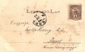 Fenyőháza, Lubochna; Vág felőli oldal, kiadja Wlaszovits Gusztáv 1064 / holiday resort (fl)