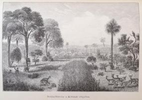 Dr. Holub Emil: A Fokvárostól a masukulumbék országába. 1883-1887. I-II. kötet.; + A II. kötetben: É...