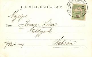 1913 Kisdombegyház, Marczibányi-Dombegyháza, photo