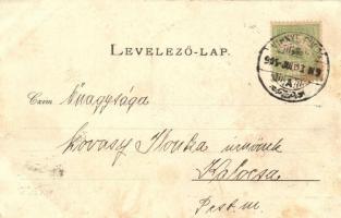 Vihnye-gyógyfürdő, Gecsányi-villa (fl)