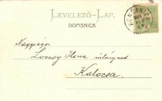 Daruvár, Kup. Perivoj, Curpark; F. Cimic / spa park