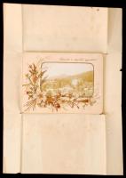cca 1890 Levél, benne Stájerlaki nyaraló fényképével, díszes, szárított virágos keretben / cca 1890 ...