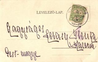 Máramarossziget, Nyári színház, Kaufmann Ábrahám kiadása / summer theatre