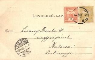 Újtátrafüred, Villák; 322. sz. Divald Károly