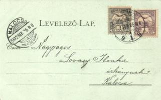 Szolnok, kiadja Fuchs Lipót és fia, floral, Art Nouveau litho